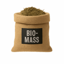 BIO MASS ICON BIO MASS ICON