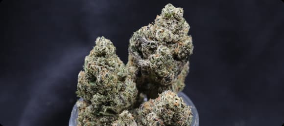 Hemp Flower Hemp Flower